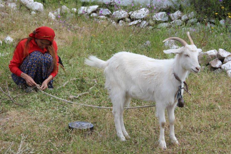 <p>En son defilemi ise Cemil İpekçi defilesinde gelinlik ile yapmıştım. Artık emeklilik zamanı geldi dedim ve hayalimi gerçekleştirdim. Keçilerim, köpeklerim, tavuklarım ile kendime gizli bir dünya kurdum. Burada çok mutluyum ve yaz, kış buradayım. Hiçbir yere de gitmeyi düşünmüyorum. Yıların yorgunluğunu burada atıyorum. Burada artık hayvanlarımla huzurlu mutlu sağlıklı bir hayat yaşamak istiyorum”dedi.</p>

<p> </p>
