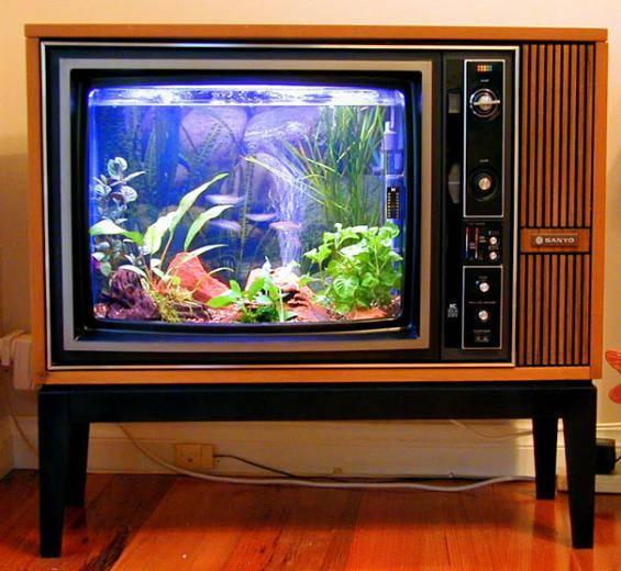 <p>Eskiyen tüplü televizyondan akvaryum...</p>

<p> </p>
