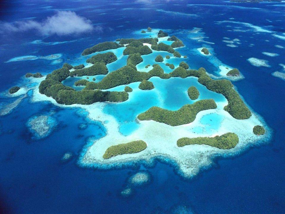 <p>44. PALAU CUM.</p>

