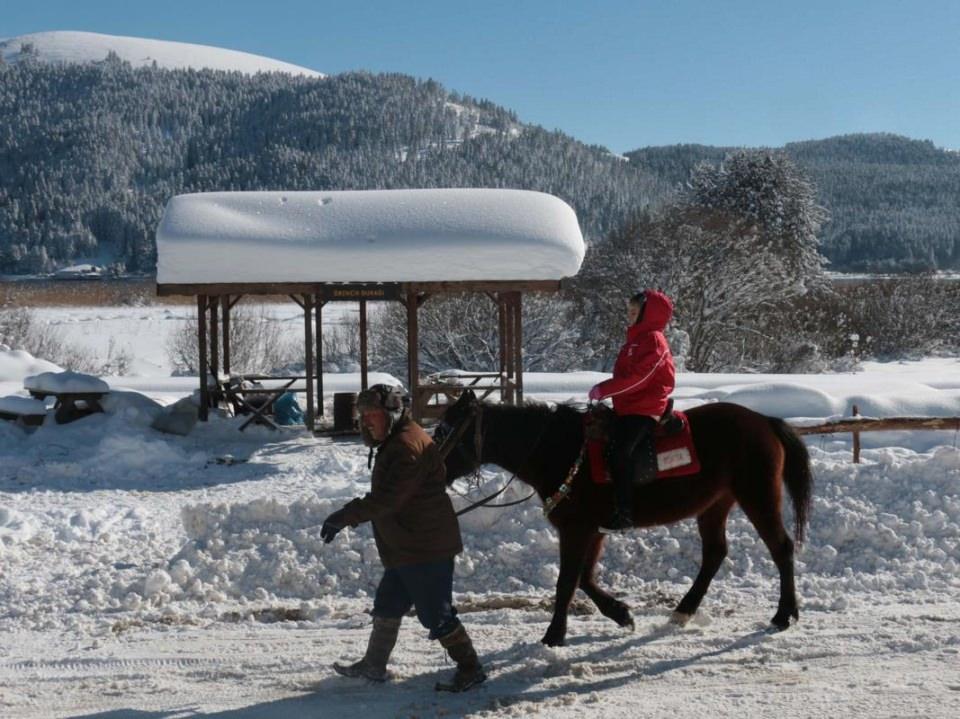 <p>Denize yaklaşık bir saat uzaklıktaki, doğa turizminin gözde mekanı ve yüzde 65'i ormanlarla kaplı Bolu, 2015 yılında da yerli ve yabancı tatilcilerin ilgi odağı oldu. </p>
<p> </p>