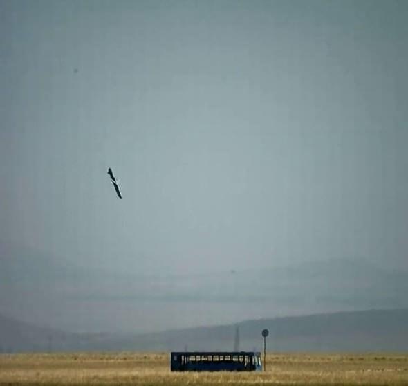 <p>TÜBİTAK Sage'nin geliştirdiği som füzesi tüm hava koşullarında görev yapabiliyor.Ayrıca som füzesi maliyet olarakda çok ekonomik üretiliyor.</p>

<p> </p>
