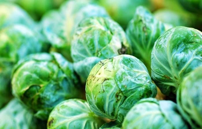 <p>- Brüksel lahanası A, C ve E vitamini bakımından oldukça zengindir.</p>
<p>- Küçük yapraklı lahana aynı zamanda yaşlılarda sık görülen retina hasarına karşı korur.</p>