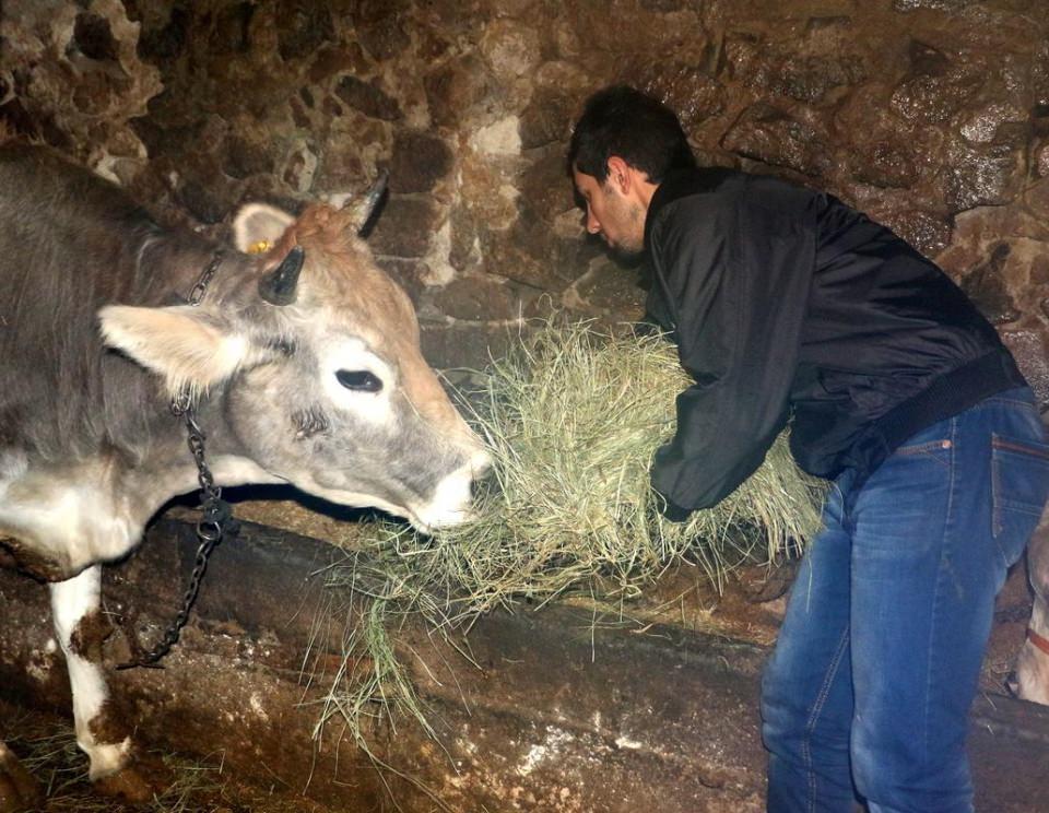 <p>Palandöken'de çobanlık yaparak geçimini sağlayan Mezher ve Sultan çiftinin 6 çocuklarından en büyüğü olan 21 yaşındaki Menderes, aile mesleği olarak hayvancılık ve çobanlığın yanında sürdürdüğü başarılı eğitim ve spor hayatıyla dikkat çekiyor. </p>
<p> </p>