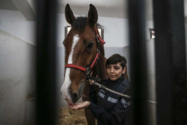 <p>Nevşehir'de, 2003 yılında Jandarma Genel Komutanlığı bünyesinde kurulan Jandarma At ve Köpek Eğitim Merkezi (JAKEM) Komutanlığında eğitilen atlar, özellikle turizm bölgelerinde motorlu taşıtların giremediği yerlerde ve asayiş olaylarında kullanılıyor. Atlarla birlikte binicilik eğitimi alan personel de turizm bölgelerinde veya bazı törenlerde görev yapıyor.</p>