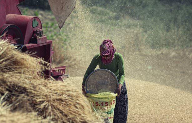 <p><strong>Mansiyon Ozan Güzelce Milliyet Istanbul </strong><br />
<br />
Gübretaş'ın düzenlediği Basın Fotoğraf Yarışması'na katılan usta fotoğrafçılar bu renkleri en çarpıcı karelerle yansıtıyor.</p>
<p> </p>