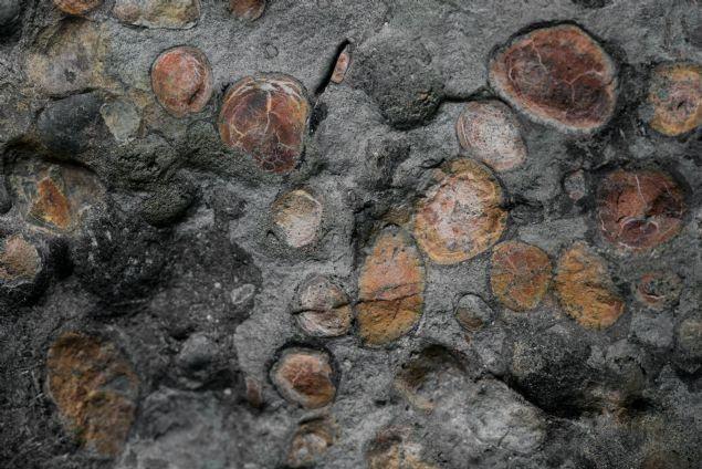 <p>Kepçesinden inerek daha yakından bakan operatör, her biri birbirine tunç grisi taşlarla bağlanmış sıra halinde kum rengi diskler buldu. Shawn Funk'ın keşfettiği şey, ağır zırhlı 'nodosaur'un 5,4 metre uzunluğunda ve 1360 kilogram ağırlığındaki kemikleriydi.</p>

<p> </p>
