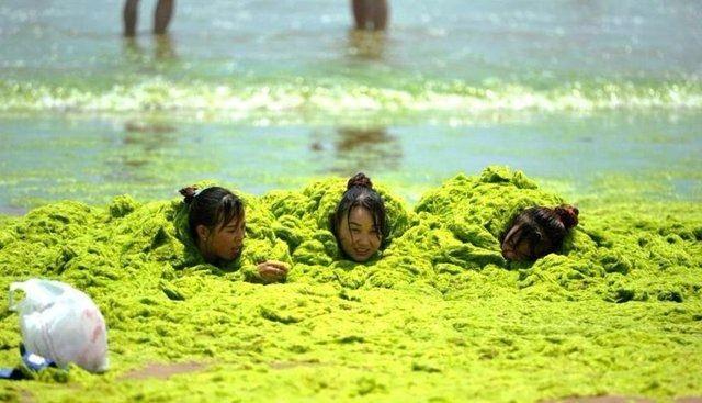 <p>Yaz mevsimi geldiğinde kıyı şeridini istila eden yeşil yosunlar ise turistler için bir eğlence haline gelmiş durumda.</p>
