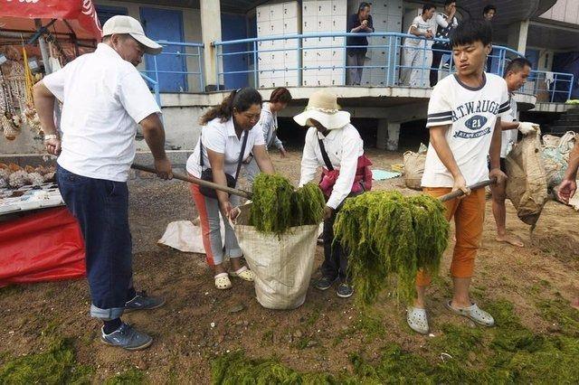 <p>Temizleme çalışmalarına gönüllülerin de destek verdiği biliniyor.</p>