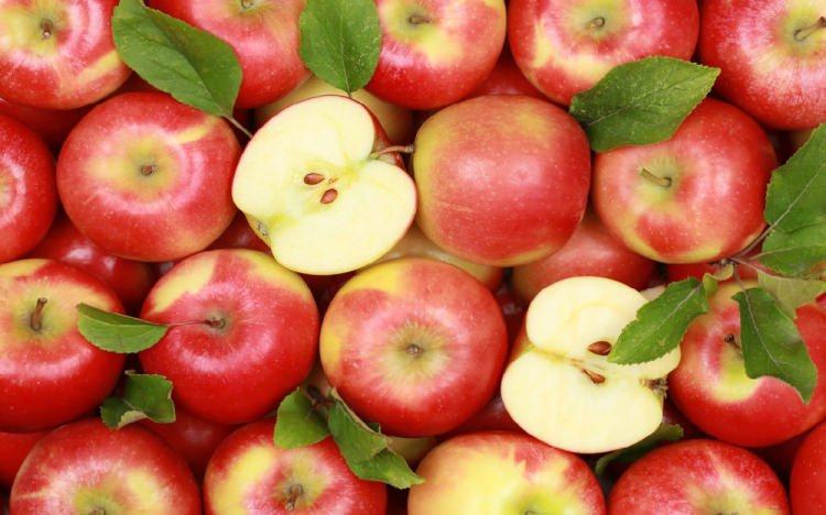 <p><strong>ELMA</strong></p>

<p>Elma taşıması ve yenilmesi kolay olan bir meyvedir ve sadece 100 kaloridir.</p>
