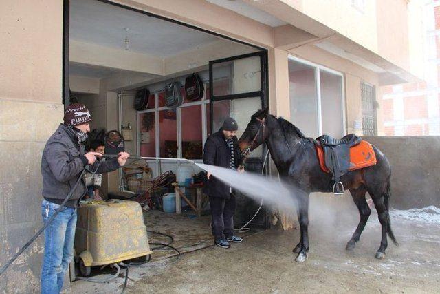 <p>Ergunhan Musaoğlu şehir merkezine getirdiği oto yıkama merkezine getirerek soğuk suyla atın ayaklarını yıkattı. Öte yandan 7 yaşındaki Karador isimli atın soğuk havadan dolayı çene altındaki tüyleri nefes alışverişinden ötürü buz tutarken vücuduna sıkılan soğuk sudan hiçte rahatsız olmadığı gözlendi.</p>

<p> </p>

<ul>
</ul>

<ul>
</ul>
