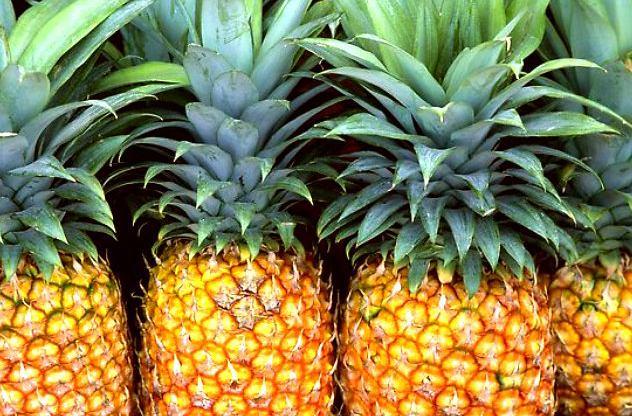 <p>Peki ananas kabuğunun sert yapısı yüzünden ondan faydalanamayacak mıyız? Tabi ki faydalanabilirsiniz, kabuğu yiyemezsiniz belki ama kabuğunu kullanarak içecek hazırlayabilirsiniz.</p>
