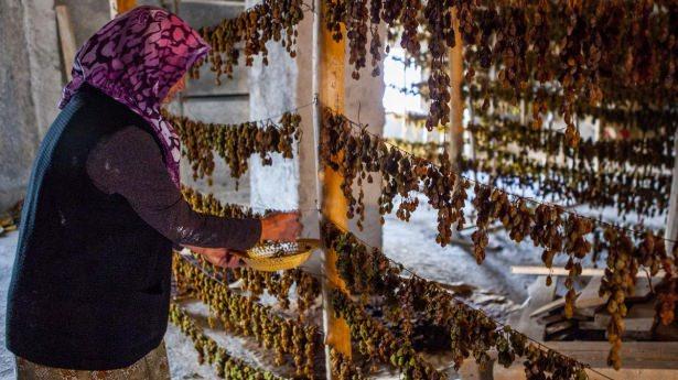 <p>Gölgede kurutulduğu için rengini koruyan gök üzüm, yüksek fiyatlardan alıcı buluyor."</p>
