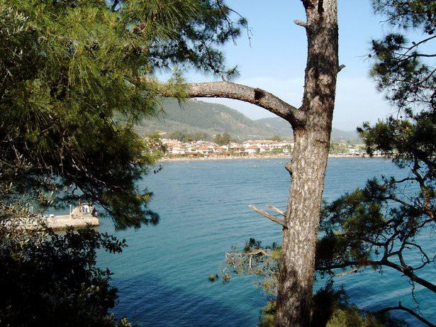 <p>Akyaka</p>
