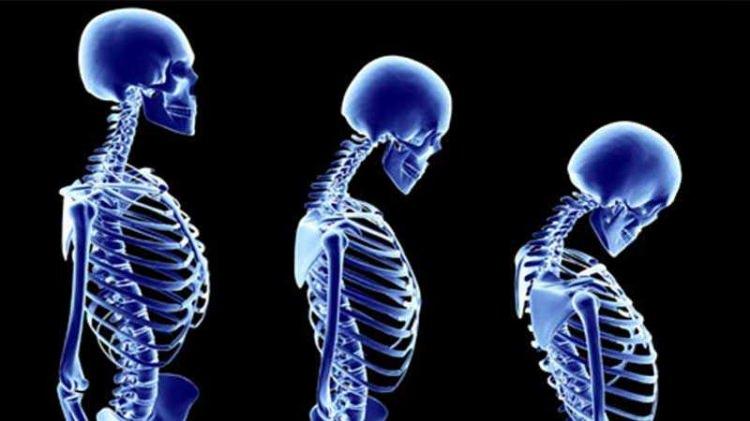<p><strong>Her yaşta kalsiyuma yer açın</strong></p>
<p>Sağlıklı ve güçlü kemiklere ulaşarak osteoporozdan korunmak için kalsiyum gerekir. </p>