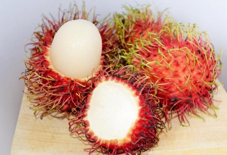 <p><strong>Rambutan'ın faydaları:</strong></p>
