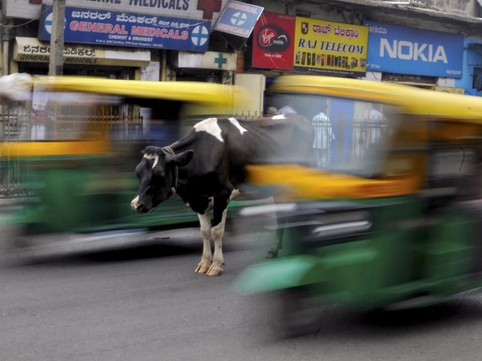 <p><span style="color:#FFD700"><strong>Yer: Bengaluru (Hindistan)</strong></span><br />
Fotoğraf&ccedil;ı: Abhishek N. Chinnappa</p>
