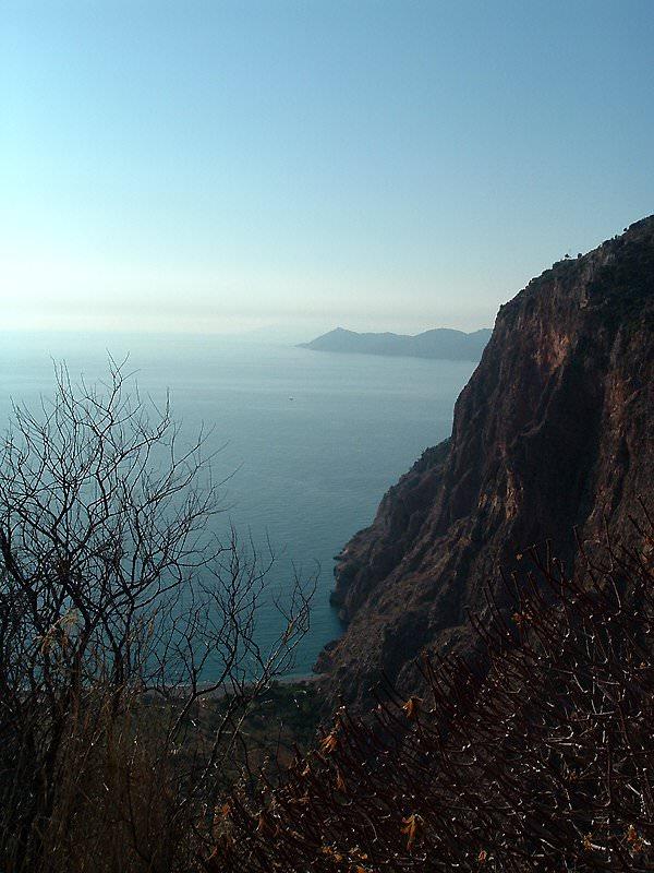 <p>Faralya</p>
