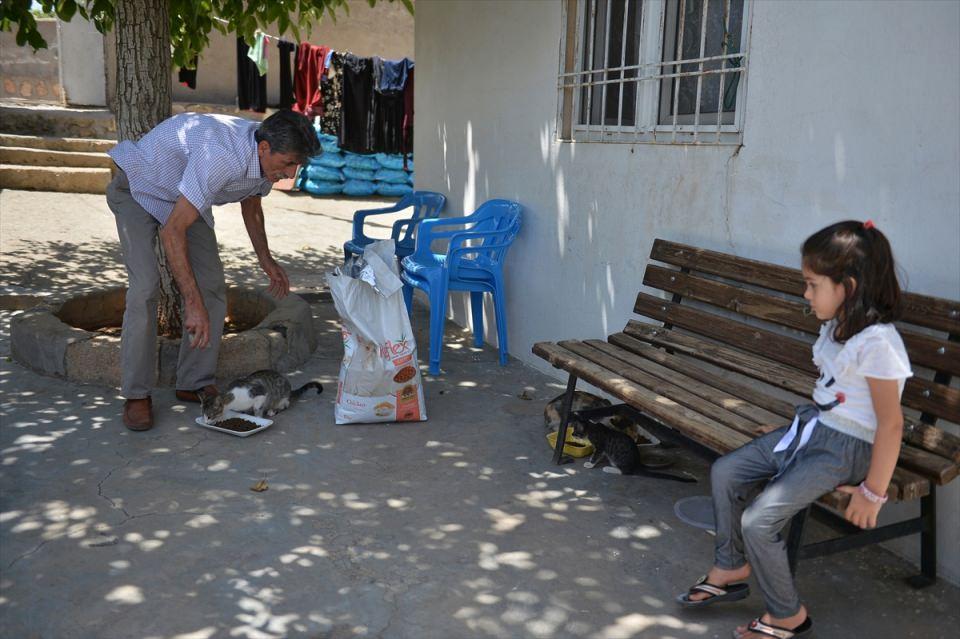 <p>Küçük kızının ayağı kırık halde getirdiği kediyi, bir süre sonra aile bireyi gibi görmeye başladığını anlatan Turğut, şöyle konuştu:</p>

<p> </p>
