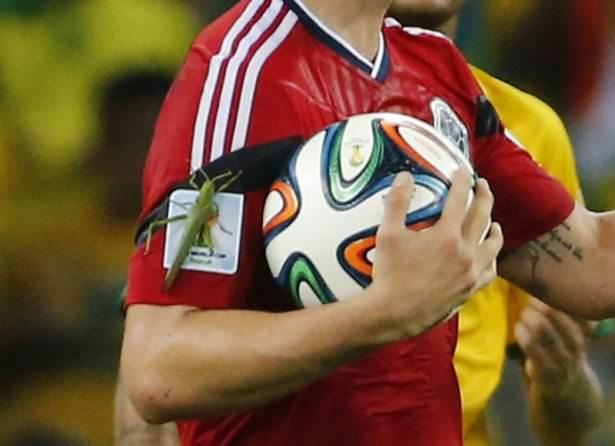 <p>Yıldız futbolcu penaltı atışını kullanırken ve gol sevincini yaşarken de bir yere kıpırdamayan davetsiz misafir kameralara böyle yakalandı</p>