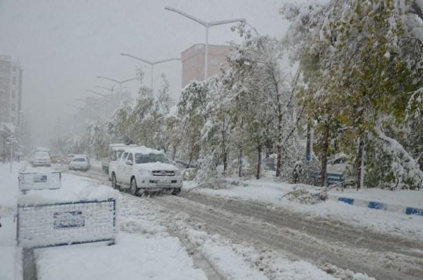 <p>HAKKARİ</p>
