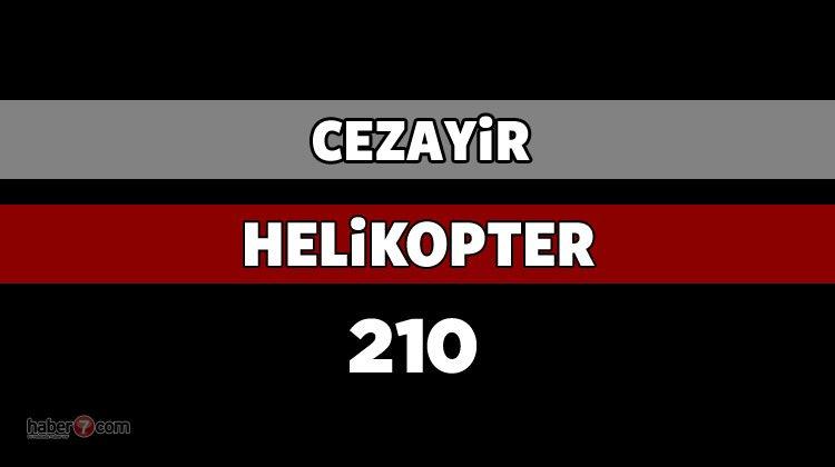 <p>CEZAYİR</p>
