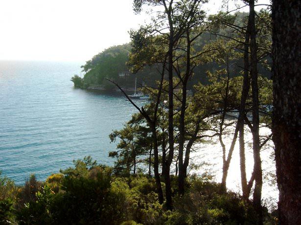 <p>Akyaka</p>
