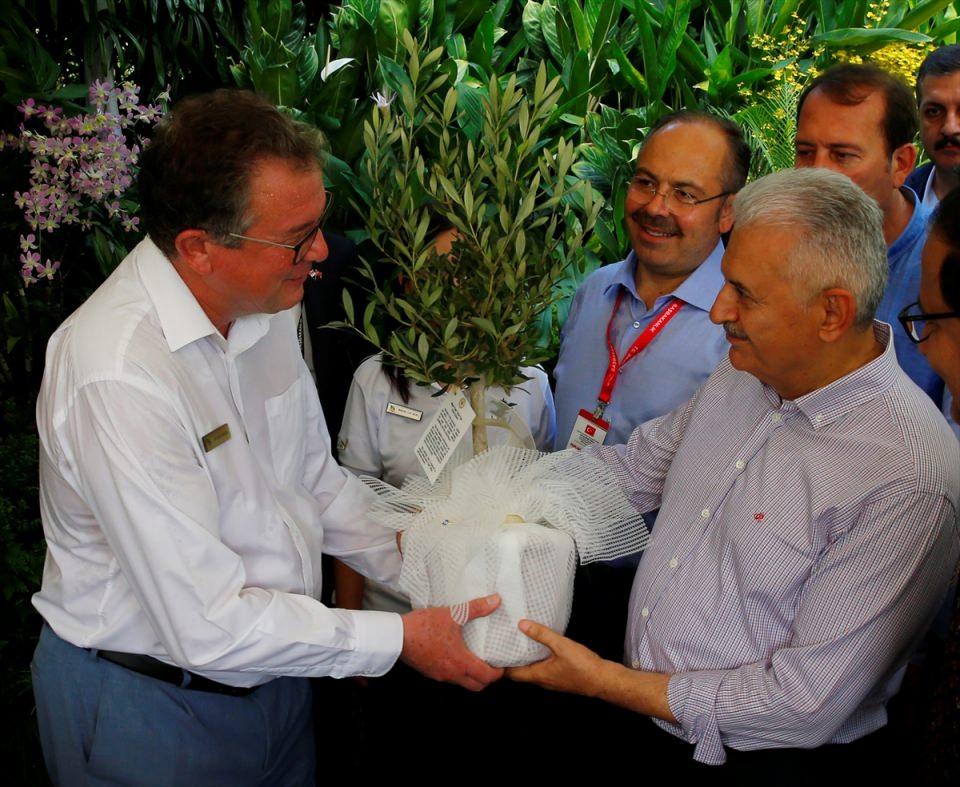 <p>Yeni ismi "Dendrobium Binali Yıldırım" olan orkide türünün sertifikası Başbakana takdim edildi.</p>

<p> </p>

