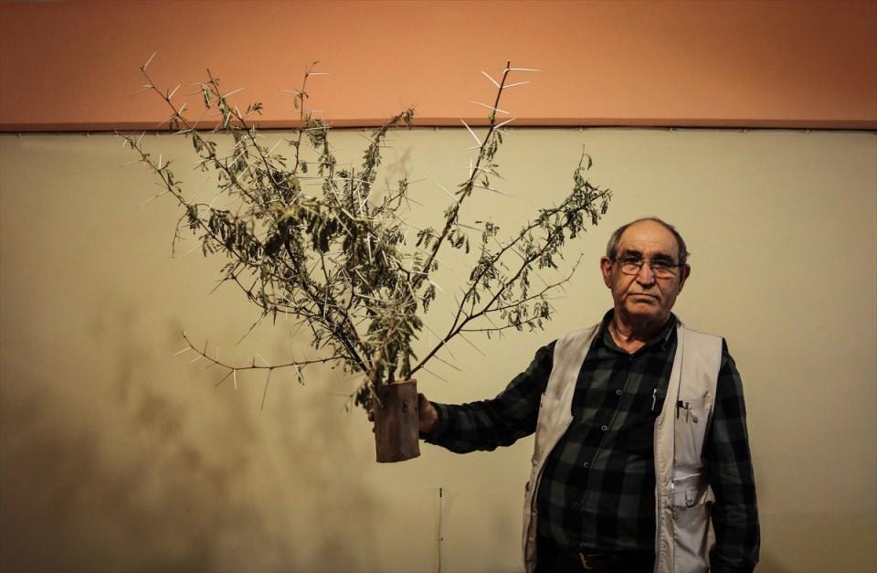 <p> Hatay'ın İskenderun ilçesinde yaşayan emekli endüstri mühendisi Ahmet Çağlar, ağaçta yetişen "ziraat dikenleri"nden ürettiği kürdanları, Türkiye'nin farklı illerine satıyor. </p>

