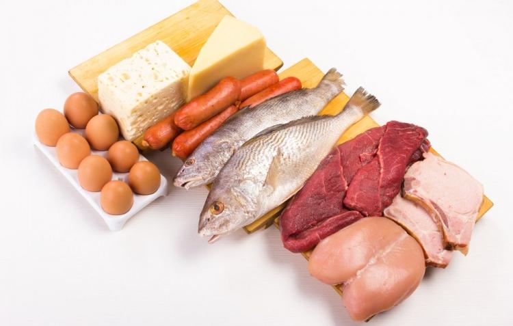 <p><strong>1-</strong> Protein</p>
