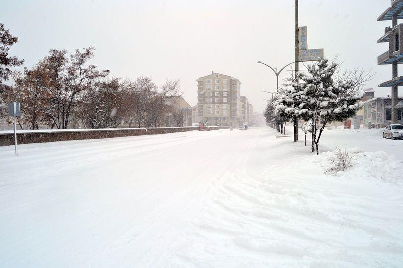 <p>BİTLİS</p>
