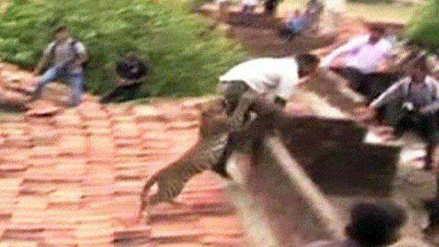 <p><strong>ÇATIDAKİ LEOPAR DEHŞET SAÇTI</strong></p>

<p>Hindistan'ın batısındaki Maharashtra kentine bağlı Ballarpur köyünde bir evin çatısından sesler duyan köylüler çatıdaki kiremitleri sökünce ne uğradıklarını şaşırdı.</p>

<p> </p>

<p> </p>
