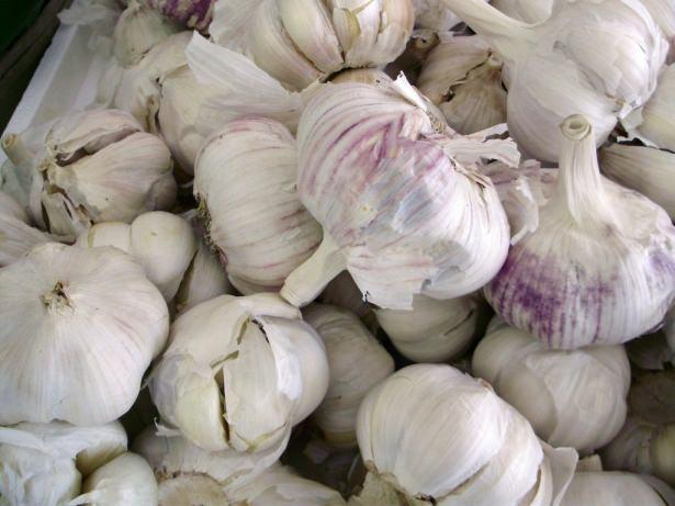 <p>Yaşa bağlı olarak ortaya çıkan Alzheimer hastalığına yakalanma riskini minimuma indirir.</p>