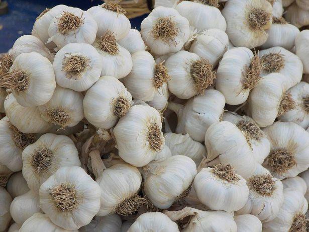 <p> Özellikle menopoz sonrası ortaya çıkabilecek olan kemik erimesine karşı sarımsak ile önlem alınabilir.</p>