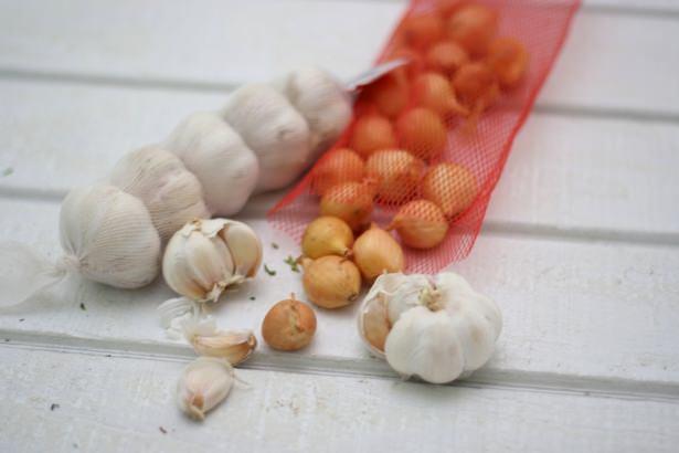 <p> Vücutta doğal bir antibiyotik etkisi yaratır.</p>