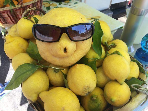 <p>Kendine has bir karizması var Limon arkadaşın.</p>
