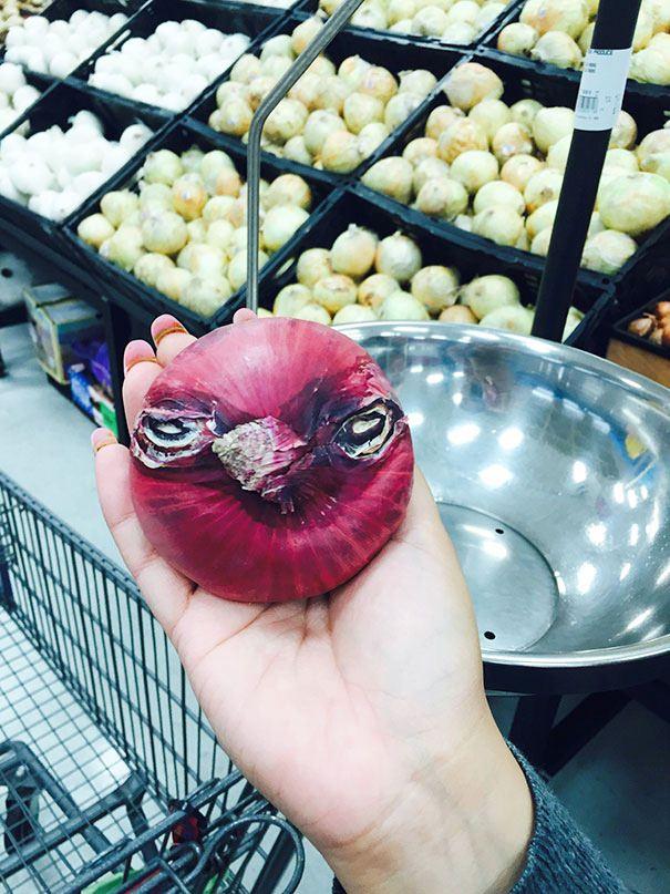 <p>Angry Bird olsa gerek...</p>

