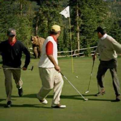 <p>Kuzey Amerika’da çekilen bu fotoğrafta golf turnuvası sırasında beklenmeyen bir ziyaretçi gözüküyor. Charles Lindsay adındaki golfçü topu tam deliğe sokmak üzereyken vahşi ayı sahaya dalıyor. Ayıyı gören golfçüler kaçıyor. Fotoğraf golf tarihinin en ünlü fotoğrafı olma unvanına sahip.</p>

<p> </p>
