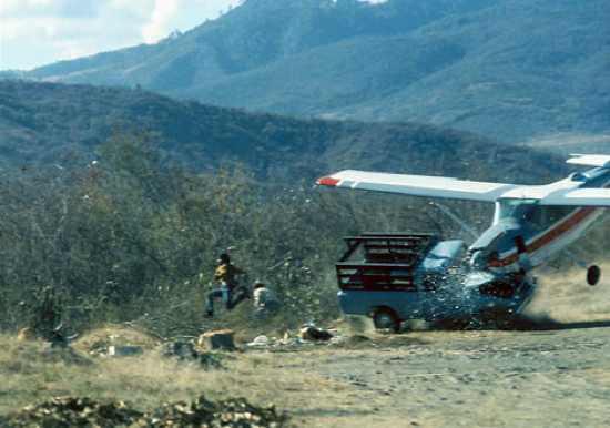 <p>4 Şubat 1976 tarihinde Guatemela'da 23 bin kişinin hayatını kaybettiği büyük bir deprem meydana geldi. Saat 3:01'de meydana gelen deprem birçok binayı yerle bir etti. Robert W. Madden tarafından çekilen bu fotoğrafta ise, bölgeye yardım götüren bir kurtarma uçağının, iniş sırasında kontrolü kaybederek kamyona çarptığı görülüyor. Neyse ki can kaybı yaşanmamış.</p>
<p> </p>