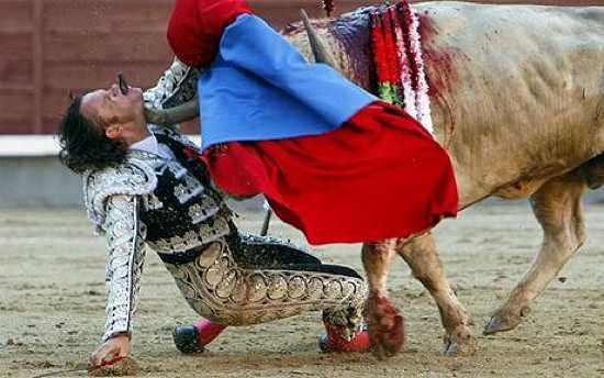 <p>İspanya'nın ünlü matadorlarından Julio Aparicio, 2010 yılında Saint Isidro Festival'inde gösterisini yaparken boğanın saldırısına uğradı. Boğanın boynuzu Aparicio'nun çenesinde girdi, ağzından çıktı. Bu olaydan sonra 2 kez ameliyat olan Aparicio hayata döndü.</p>

<p> </p>
