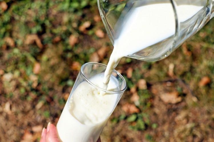 <p>Sütü, <strong>melasla</strong> karıştararak gücü iki katına çıkartabilirsiniz. Böceklerin şekeri sindirebilecek pankreası olmadığı için bahçe ve bitkinizden uzak duracaklardır.</p>