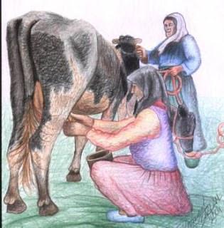 <p> Hayvanların gerek etinden, gerekse sütünden yararlanan Araplar, sağmal hayvanları sağma işini kadınlarla birlikte erkeklerde paylaşmaktaydı.  </p>
