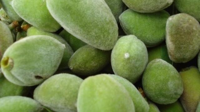 <p>Mineral katkısı yüksek olan badem yağı cildin ve saçların E vitamini ihtiyacını karşılayan çok faydalı bir yağdır.</p>