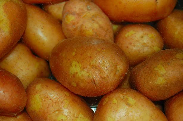 <div>Patates</div>

<div>Genelde kızartması ve yemeklerde dilimlenmiş hali tercih edilen patatesin haşlaması ve suyu da oldukça faydalıdır. Karbonhidrat ve lif yönünden zengin olsan patates hem tokluk hissi verir hem de mide asidinin artmasını önler.</div>
