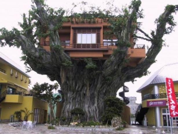 <p><strong>Ağaç ev restoran, Okinawa, Japonya</strong></p>
