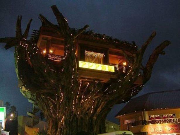 <p><strong>Ağaç ev restoran, Okinawa, Japonya</strong></p>