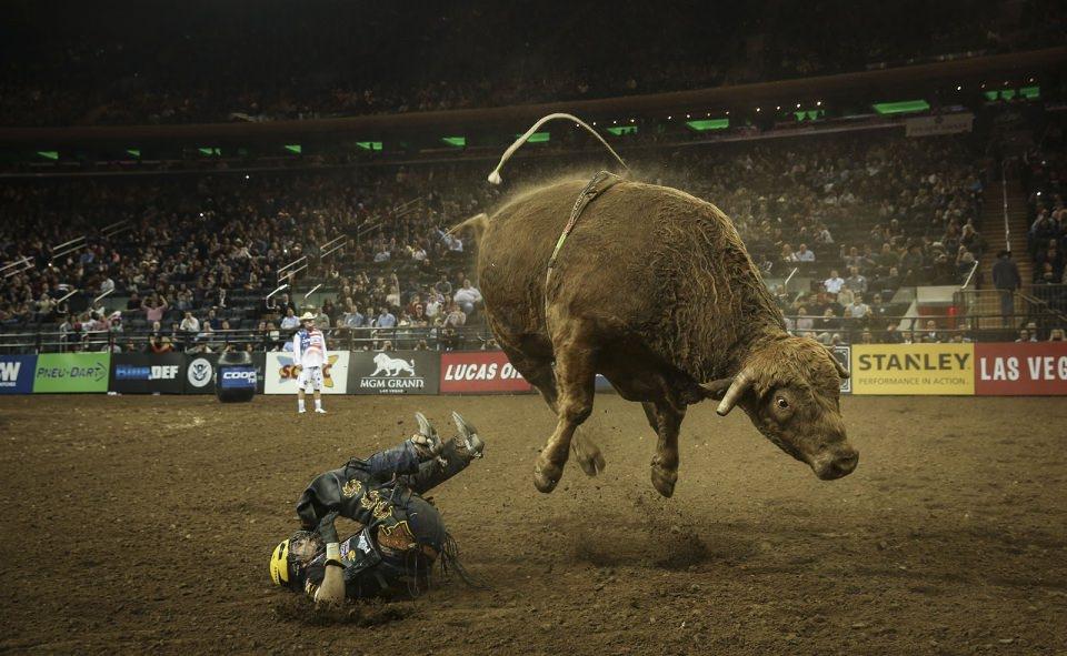 <p><strong>Rodeo yarışları</strong><br />
<br />
Amerika'nın önde gelen rodeocularını bir araya getiren Profesyonel Boğa Binicileri (PBR) liginin New York ayağı Madison Square Garden'da yapıldı.<br />
<br />
<strong>Cem Özdel</strong></p>

