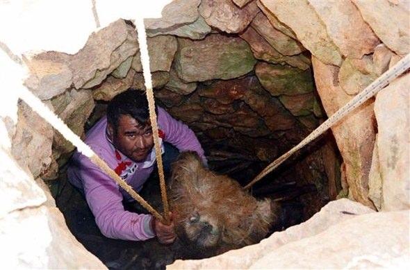 <p>2 ay bekletilrek yapılan Söğle peyniri, kilosu 40-45 liradan satılıyor. </p>