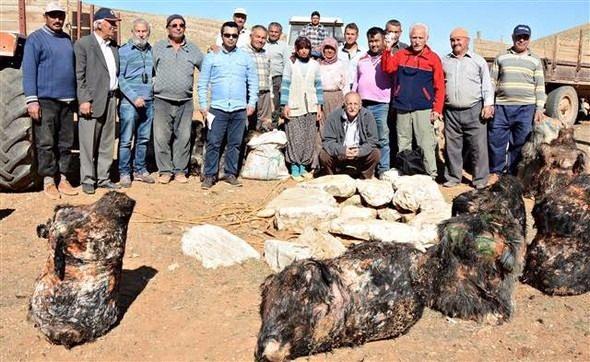<p>’Söğle peyniri’, yörede yetiştirilen keçi sütünden üretiliyor.</p>