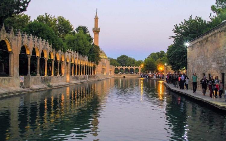 <p>Şanlıurfa</p>
