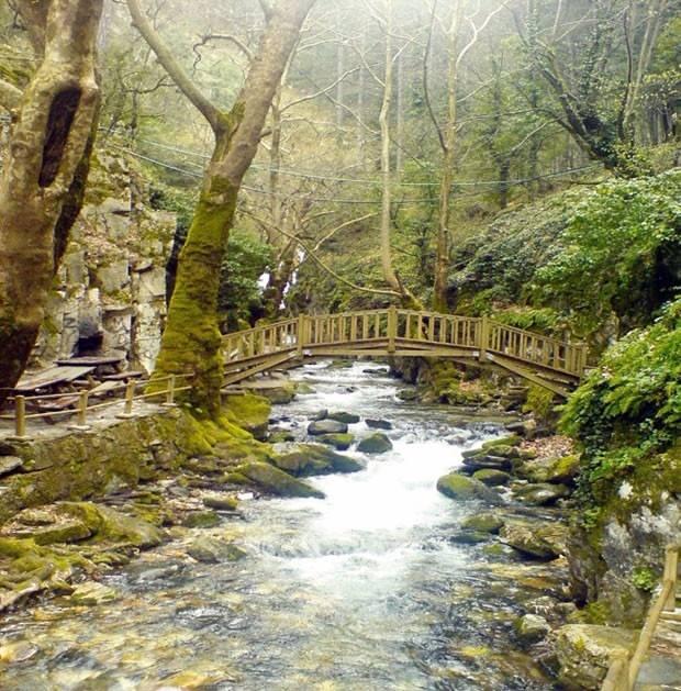 <p>Kazdağları</p>
<p>Çanakkale ve Balıkesir sınırları arasında yer alır. Ege’de kışın yaprak döken ağaçların bol olması, sonbaharı rengarenk sevenler için bir avantaj. Tertemiz akan şelalelerin ardında kalan, sarı ve turuncu yapraklarla donanmış ağaçlarla karşılaşmak hoşunuza gidecek.</p>
